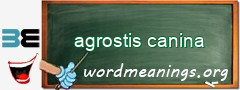 WordMeaning blackboard for agrostis canina